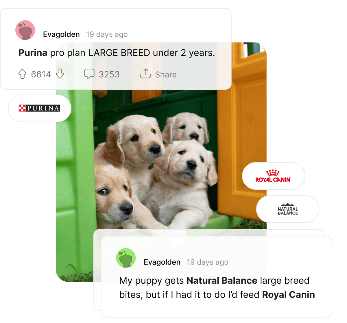 Competitor analysis logos feature