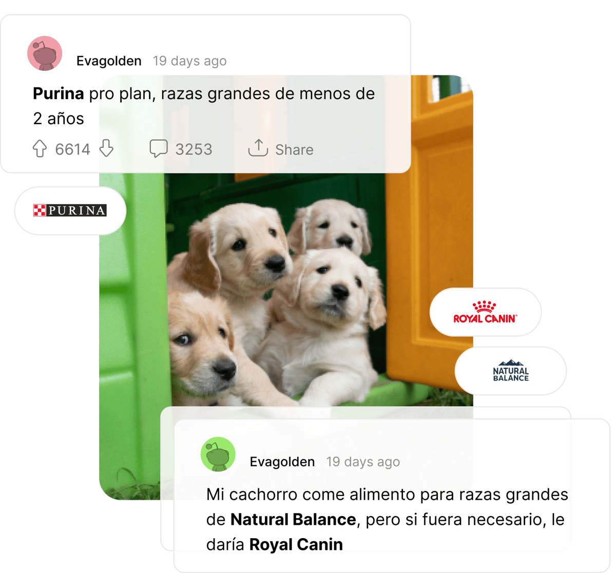 Análisis de competencia - identifica a tus competidores