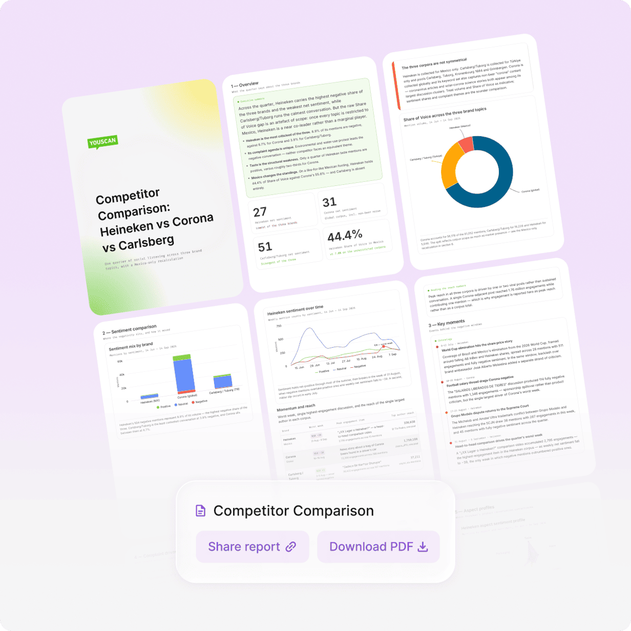 Report pages generated by Insights Copilot with share and PDF options.
